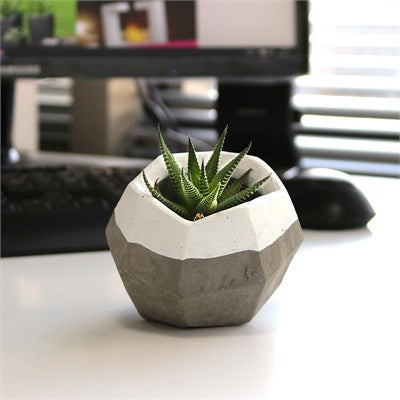 Elmas Beton Saksı 03 Gri