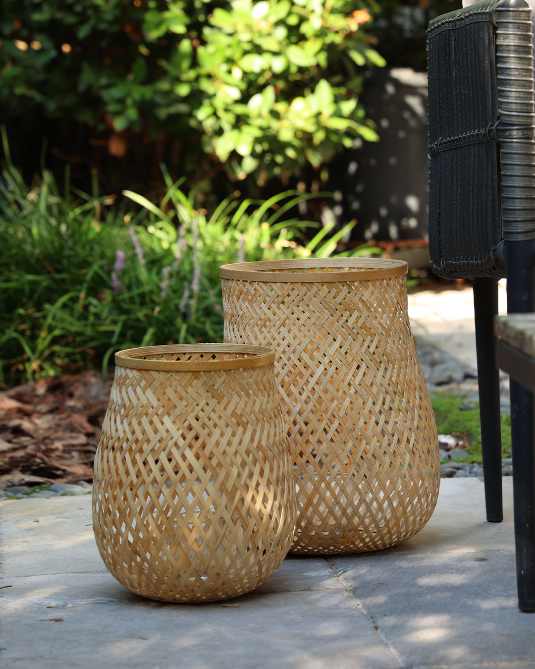 Fortis Bambu Mumluk Küçük Boy