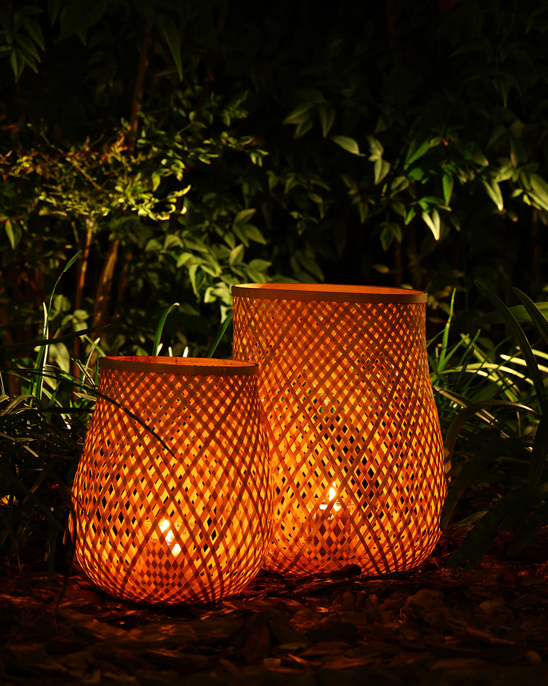 Fortis Bambu Mumluk Küçük Boy