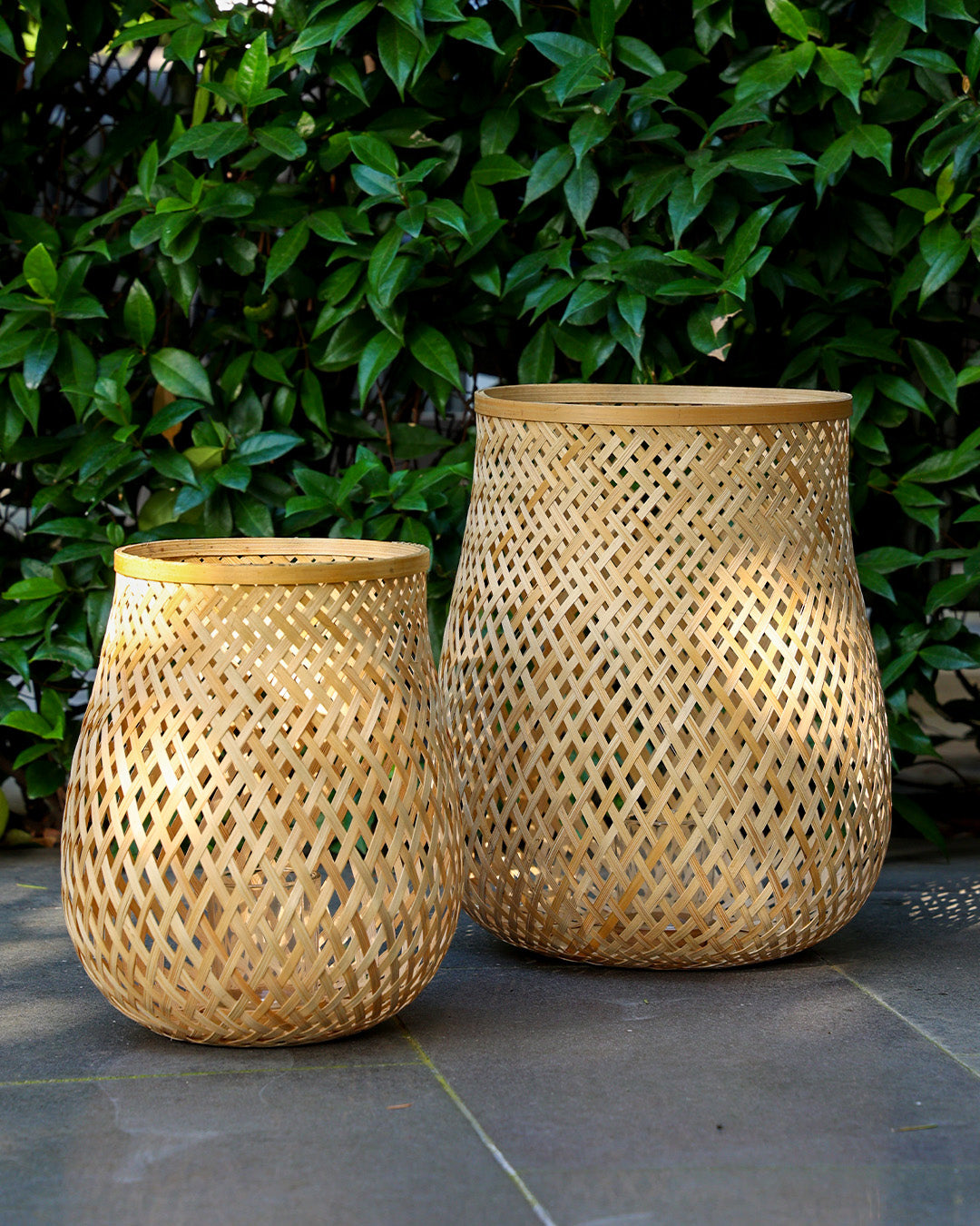 Fortis Bambu Mumluk Seti