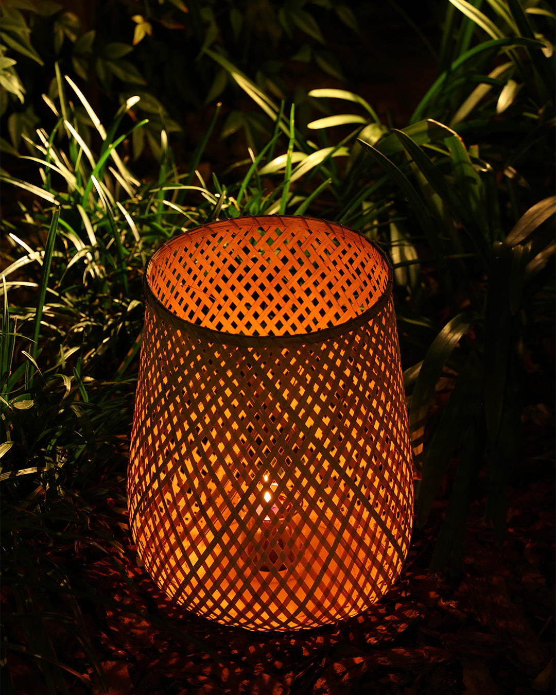 Fortuna Bambu Mumluk