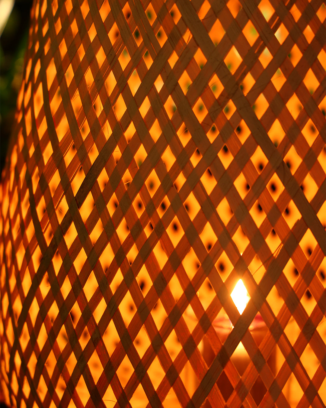 Fortuna Bambu Mumluk