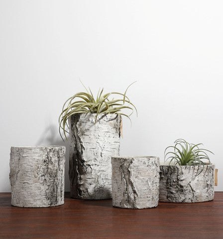 Huş Saksı Küçük Boy Gri