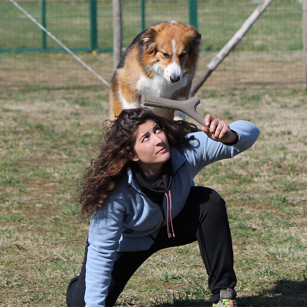 İkili Baby Köpek Oyuncağı Mavi
