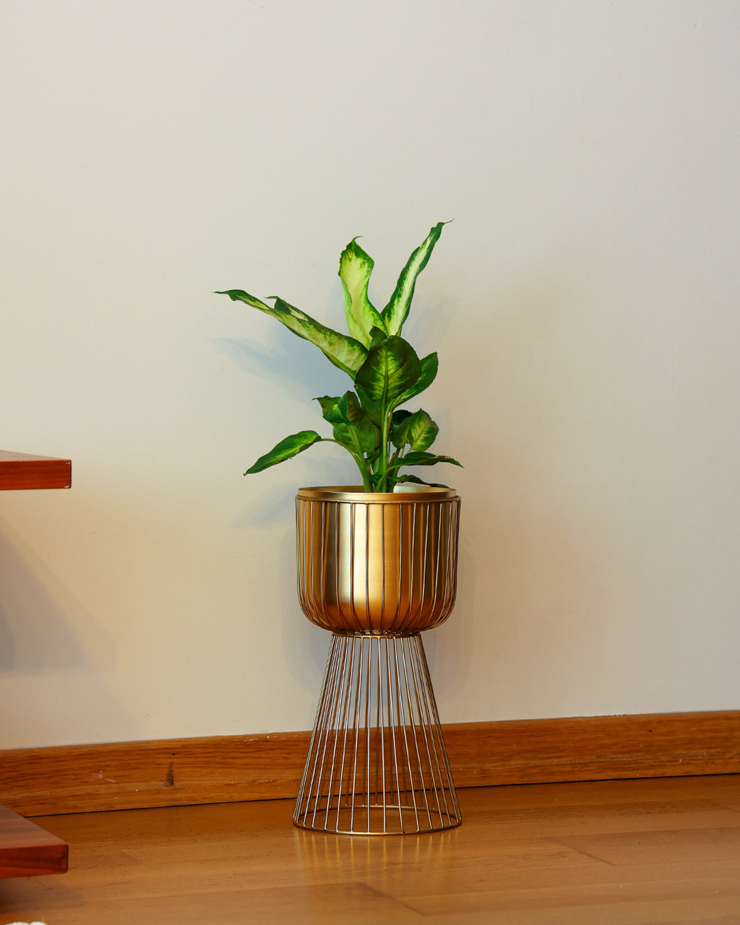 Invictus Gold Metal Ayaklı Saksı