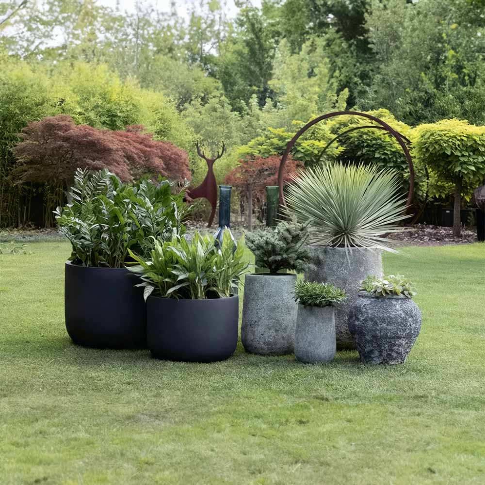 Koral Mercan Küp Mavi