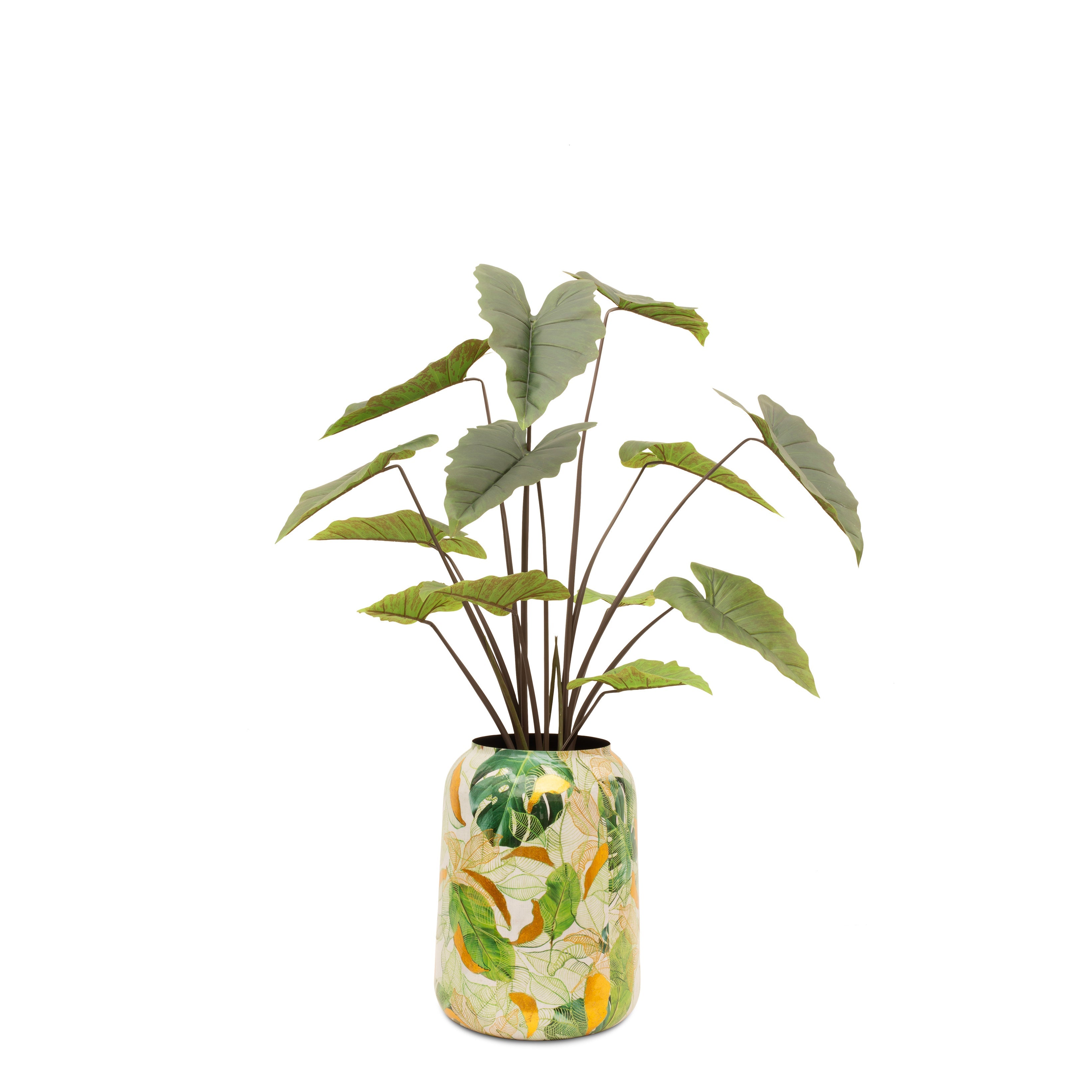 Lush Botanic XL Saksı