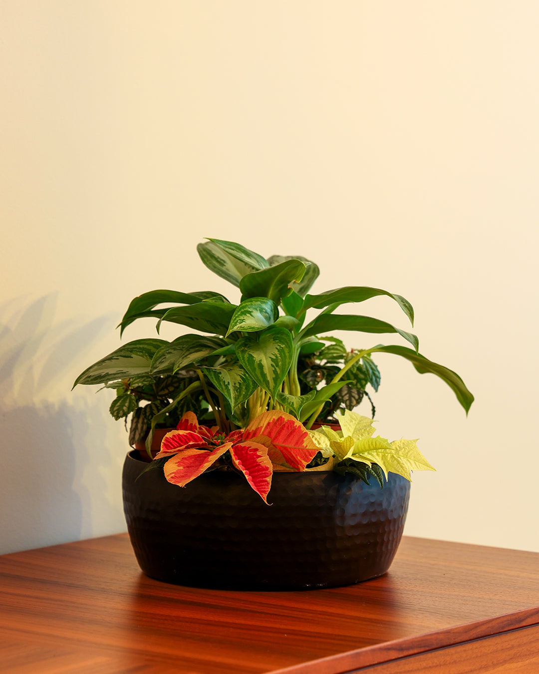 Mavre Büyük Boy Saksı Siyah