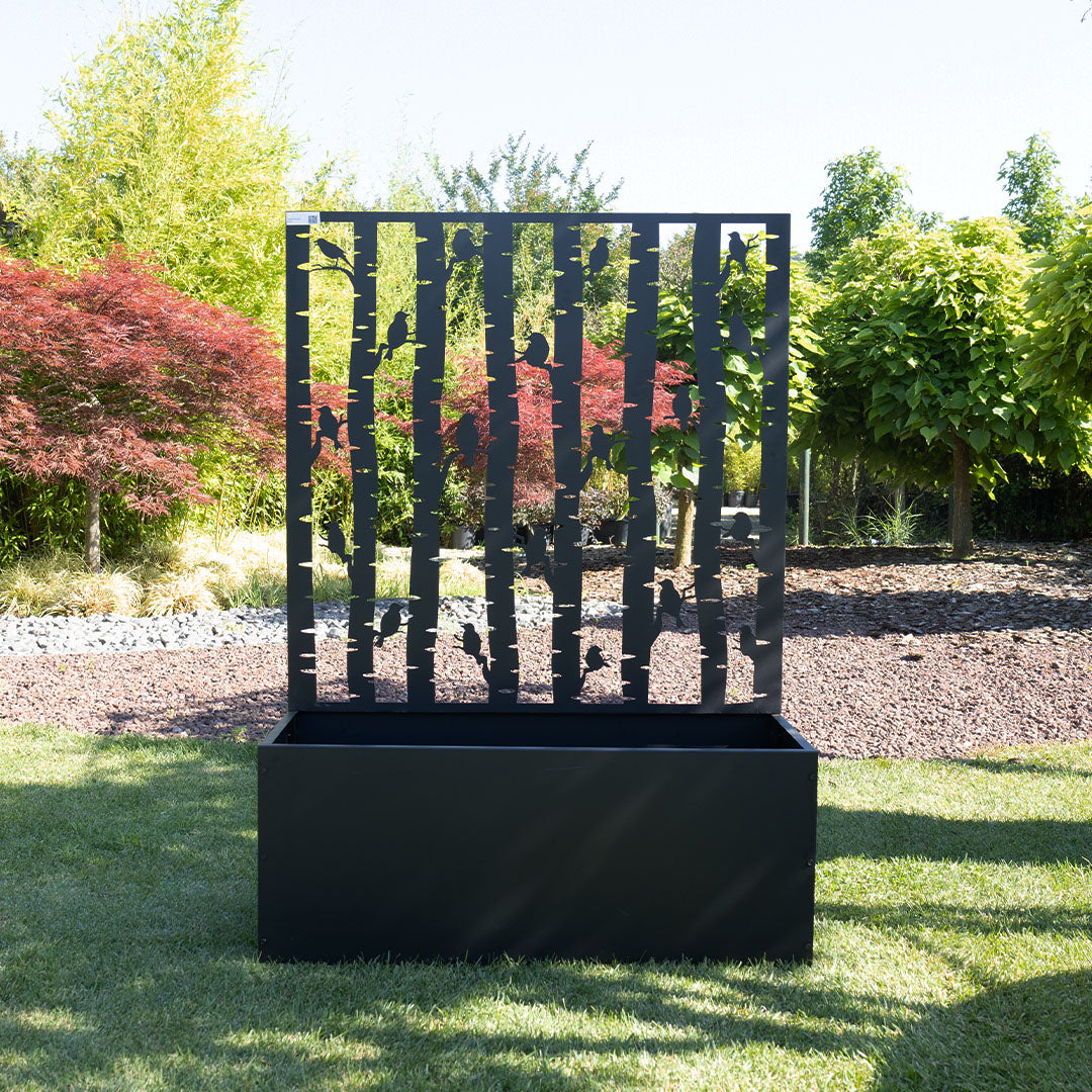 Metal Sırtlı Büyük Saksı Seperatör Kuşlar Siyah