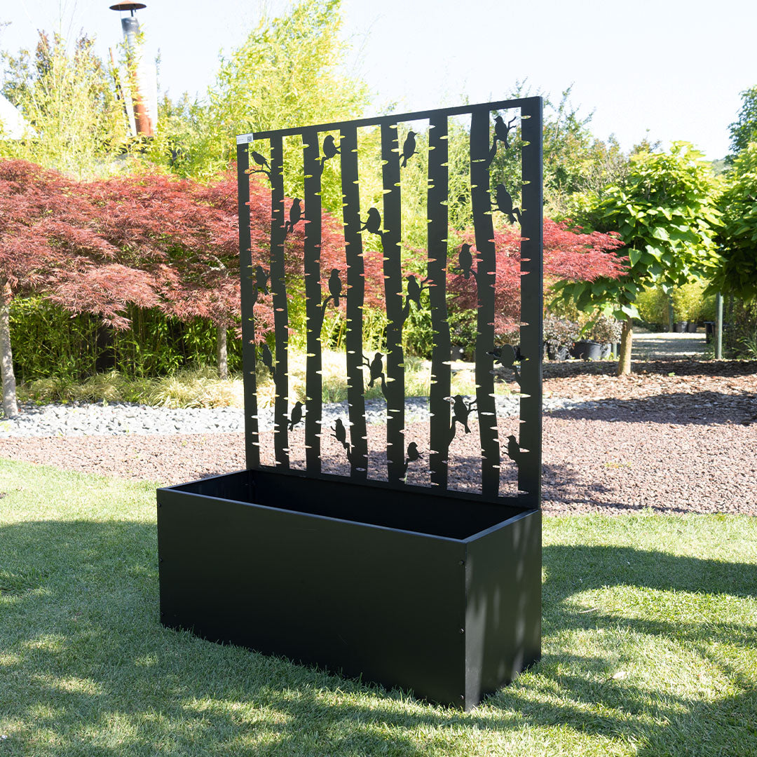 Metal Sırtlı Büyük Saksı Seperatör Kuşlar Siyah