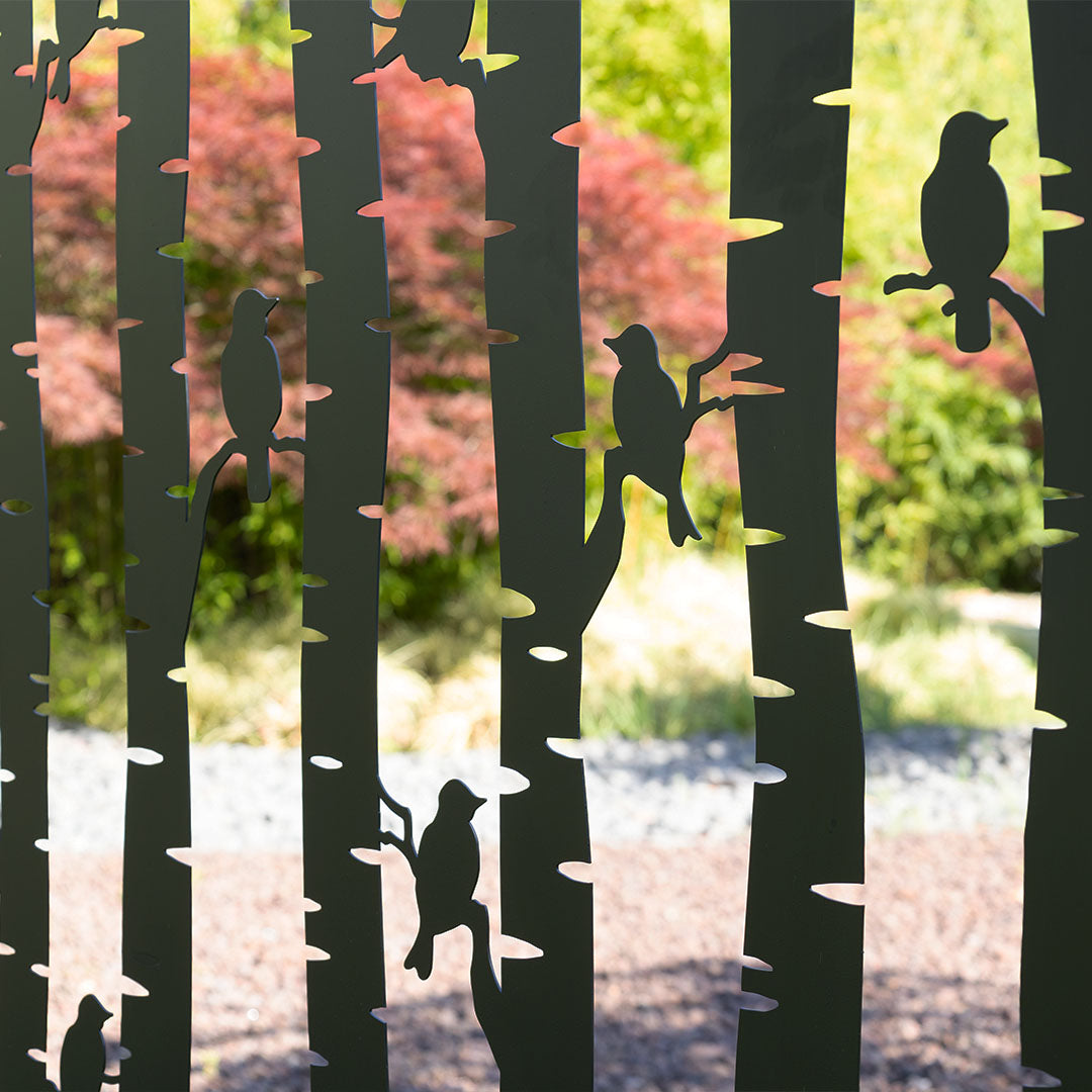 Metal Sırtlı Büyük Saksı Seperatör Kuşlar Siyah