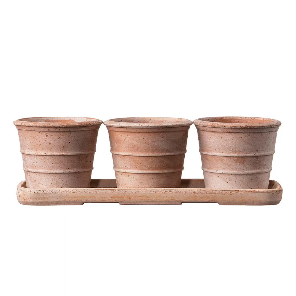 Mini Siena Toprak Saksı Seti Terracota
