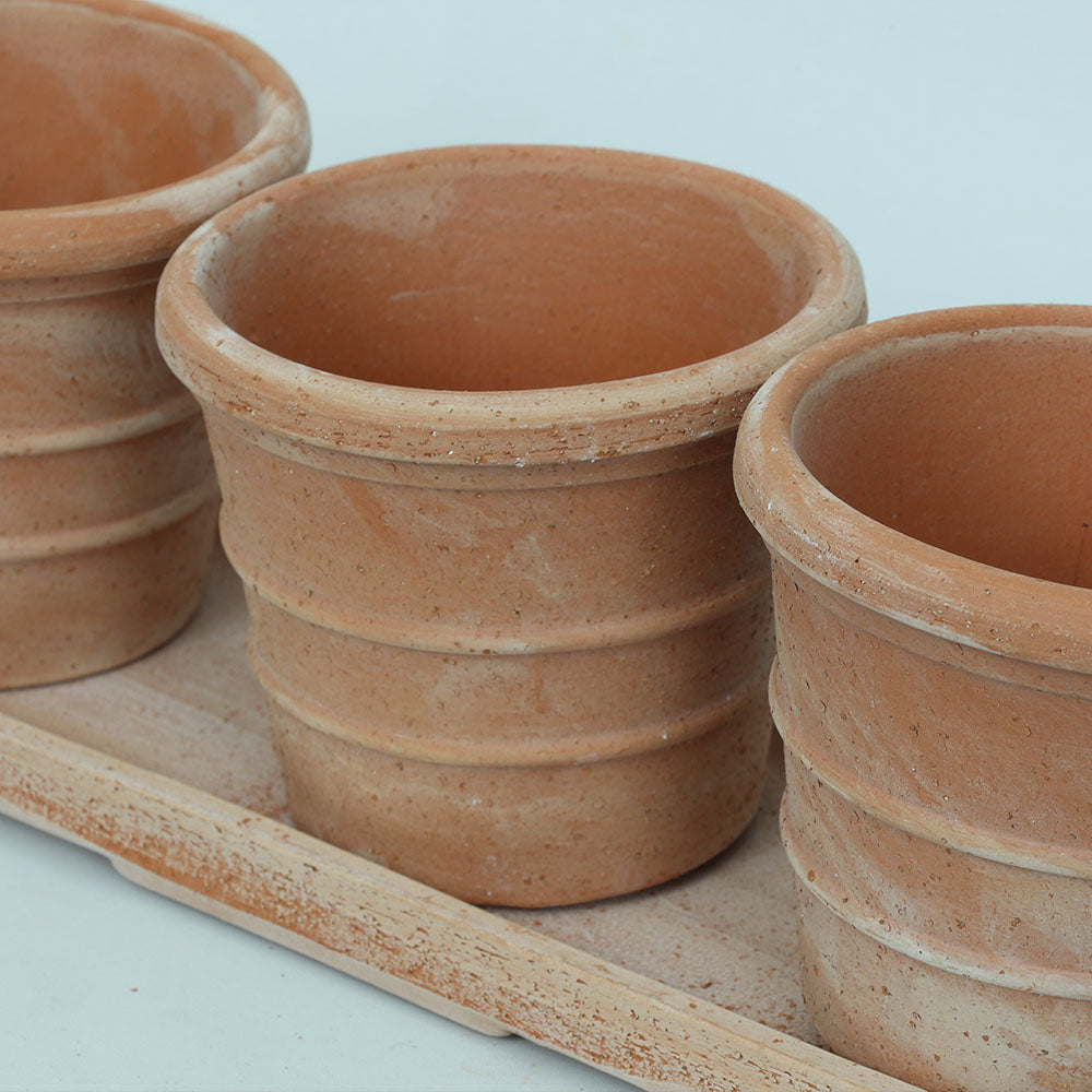 Mini Siena Toprak Saksı Seti Terracota