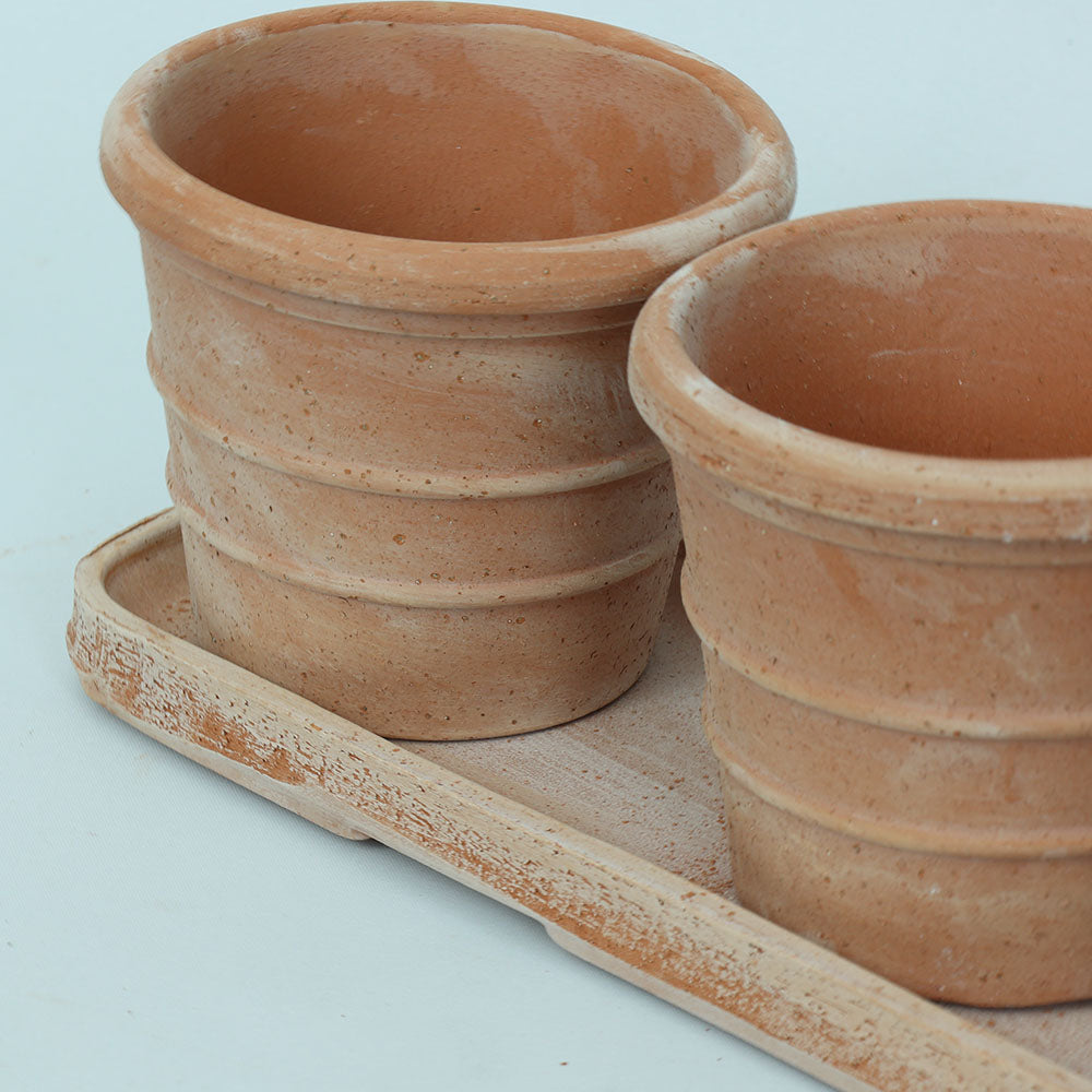 Mini Siena Toprak Saksı Seti Terracota