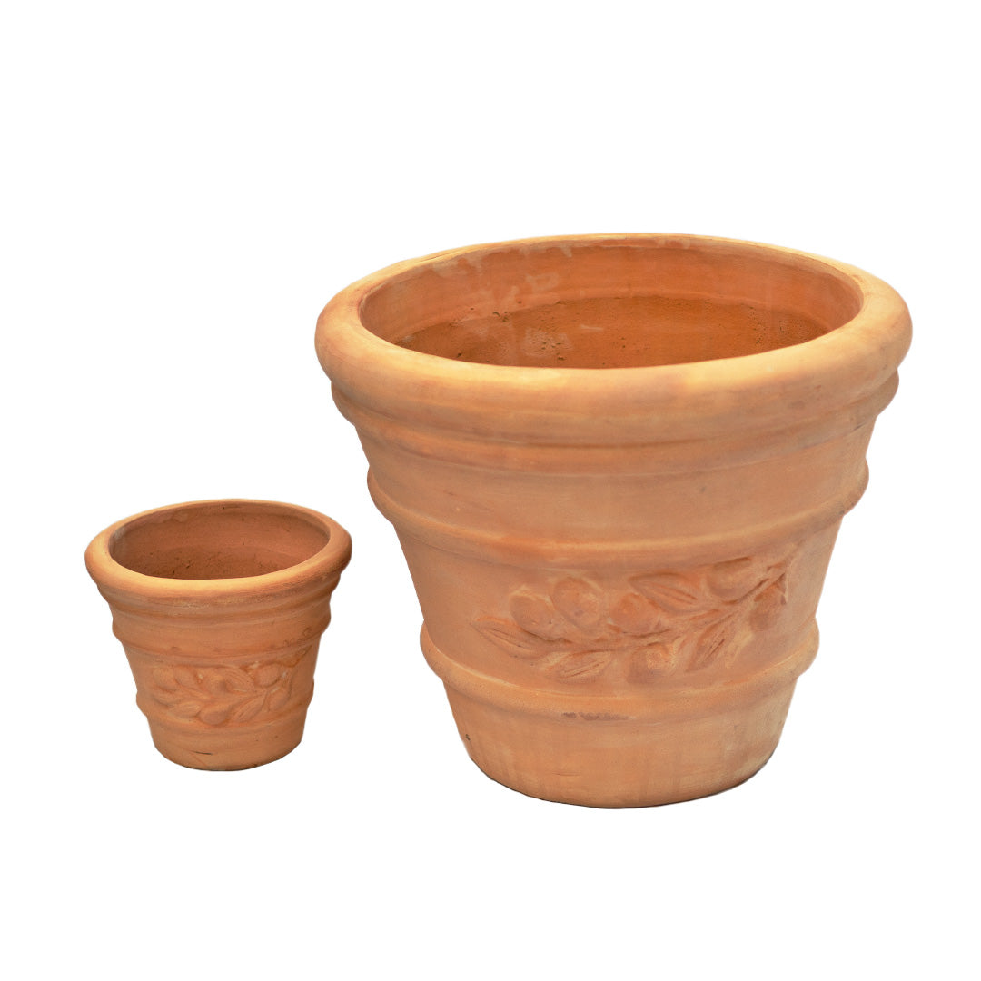 Olive Saksı Orta Boy