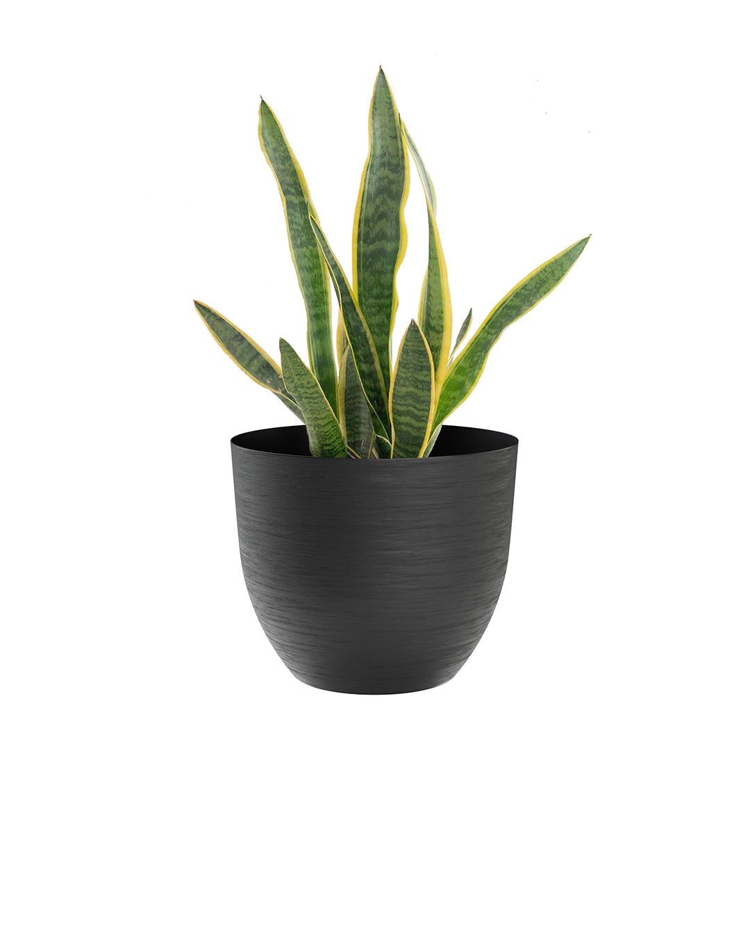 Over 38 Siyah Plastik Akıllı Saksı