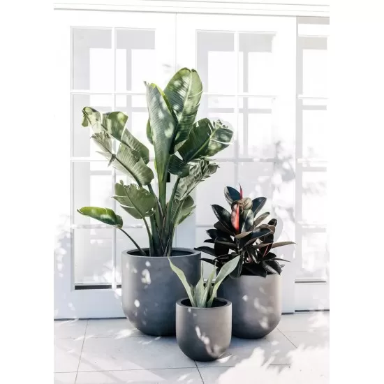 Paschendale XL Fiberstone Saksı Gri