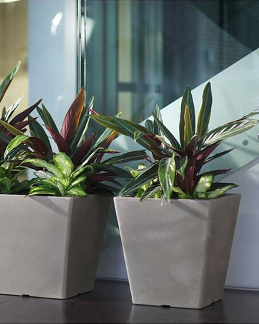 Pasubio Quadro 40 Plastik Saksı Kapuçino