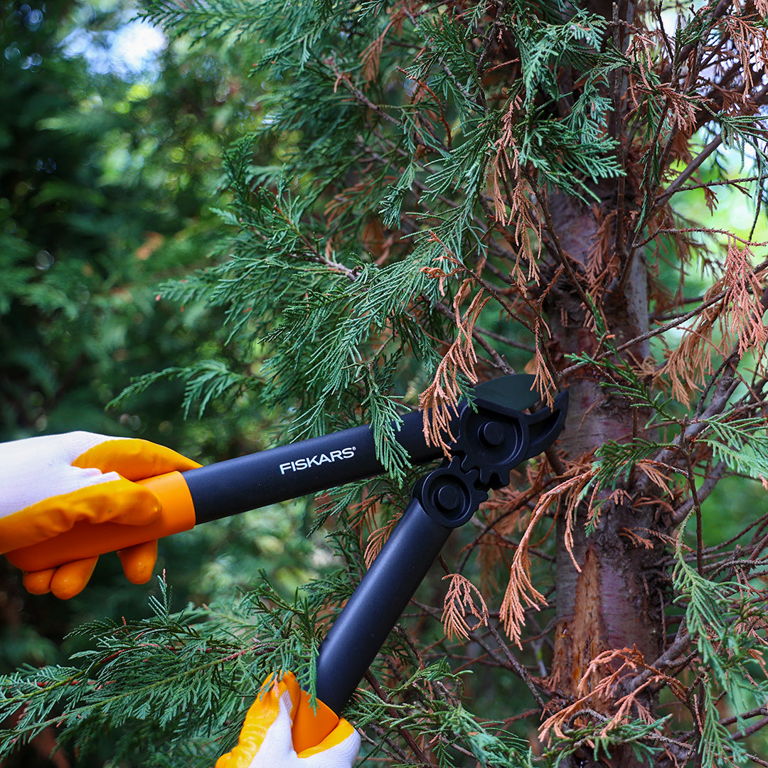 Power Gear Anvil Dal Kesme Makası (S) L31