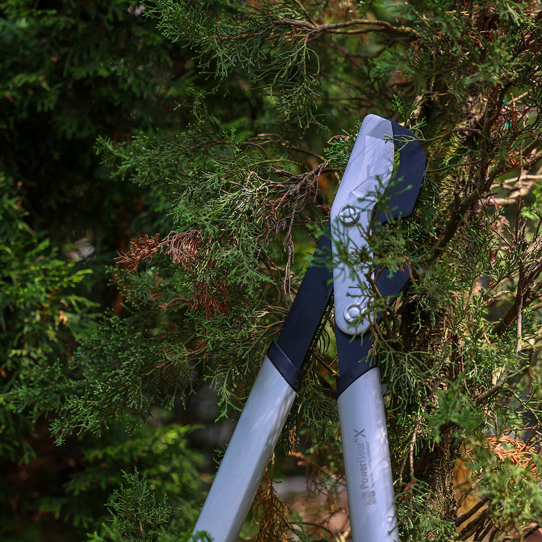 Power Gear X Dal Kesme Makası Bypass L LX98