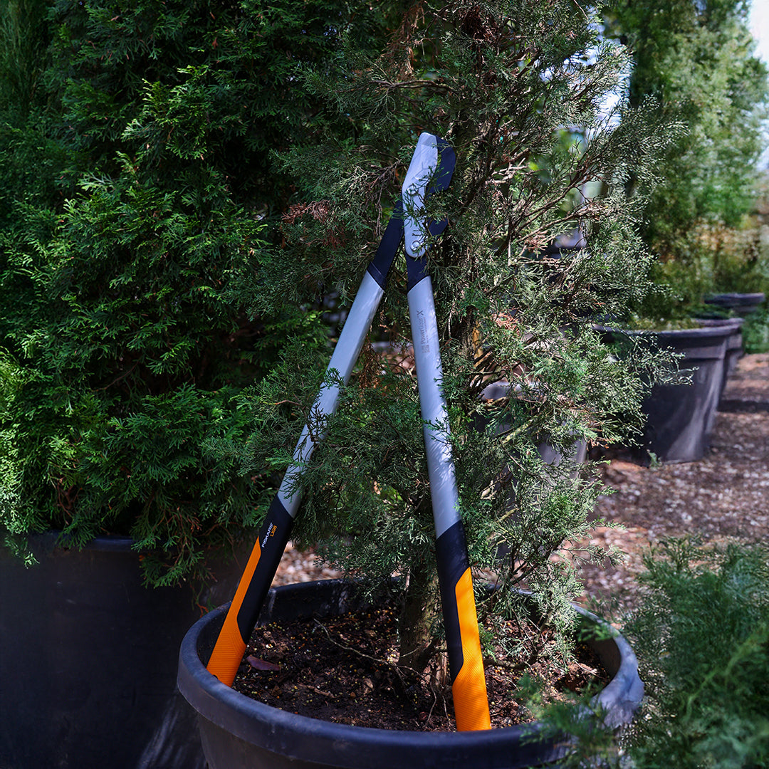 Power Gear X Dal Kesme Makası Bypass L LX98