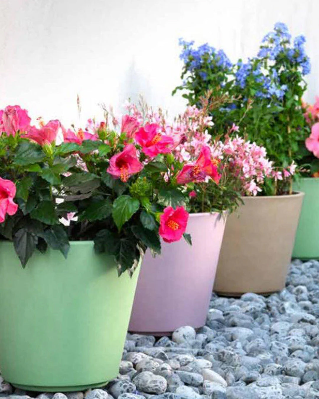 Ribeira 50 Plastik Saksı Kahverengi