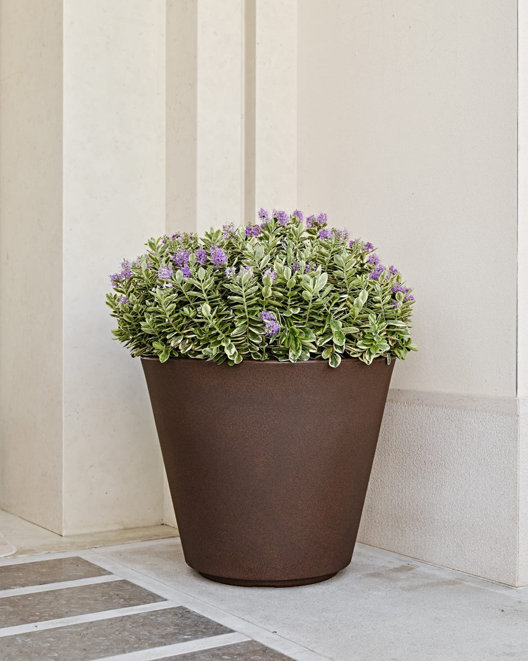 Ribeira 60 Plastik Saksı Antrasit