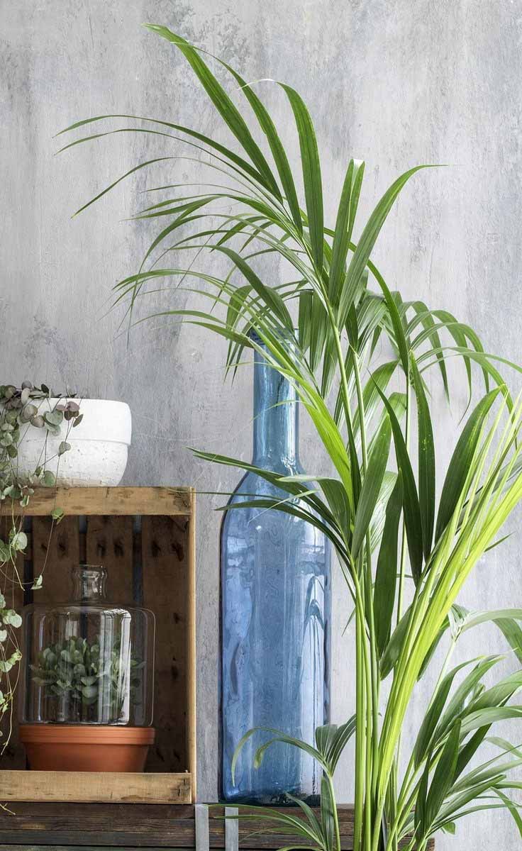 Rioja Şişe Açık Mavi