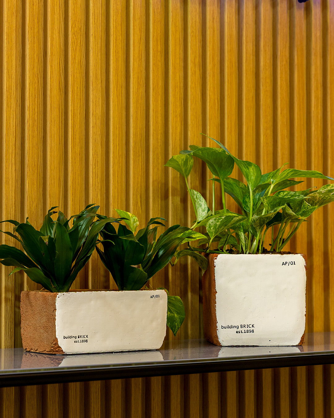 Sirona Saksı 3'lü Set