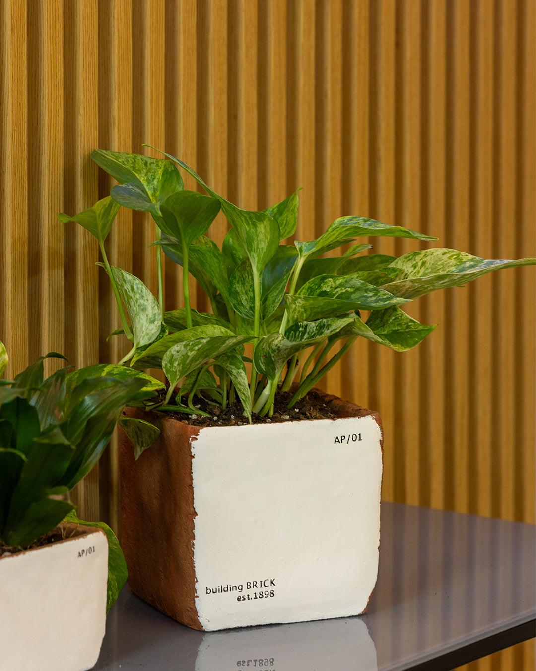 Sirona Saksı 3'lü Set