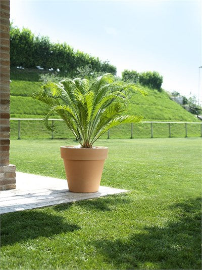 Vaso Standart One 100 Antrasit Plastik Saksı