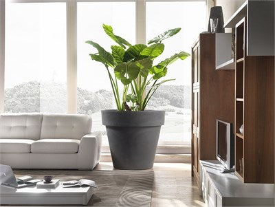 Standart One 120 Büyük Plastik Saksı Kapuçino