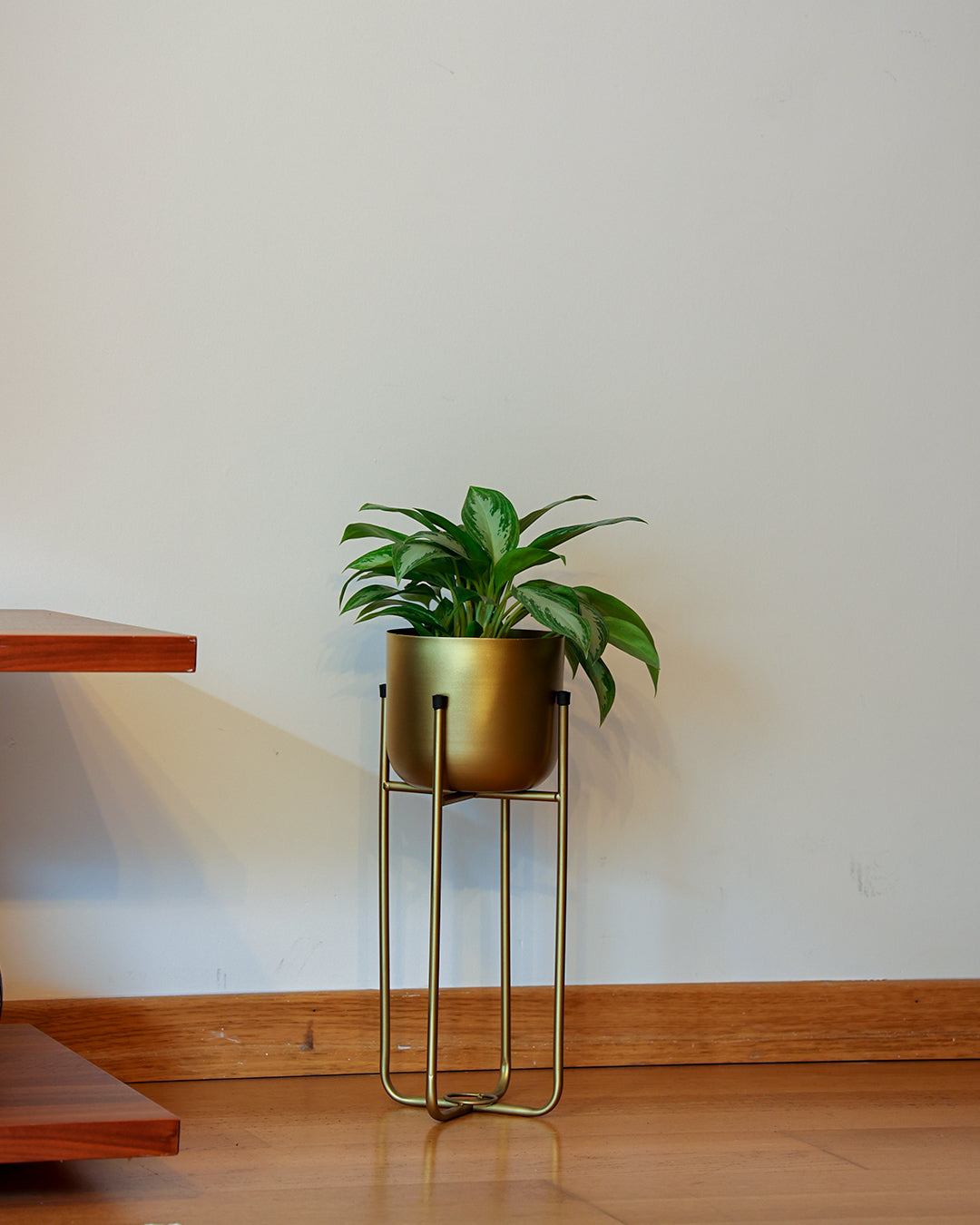 Superbia Ayaklı Metal Saksı Küçük Boy Sarı