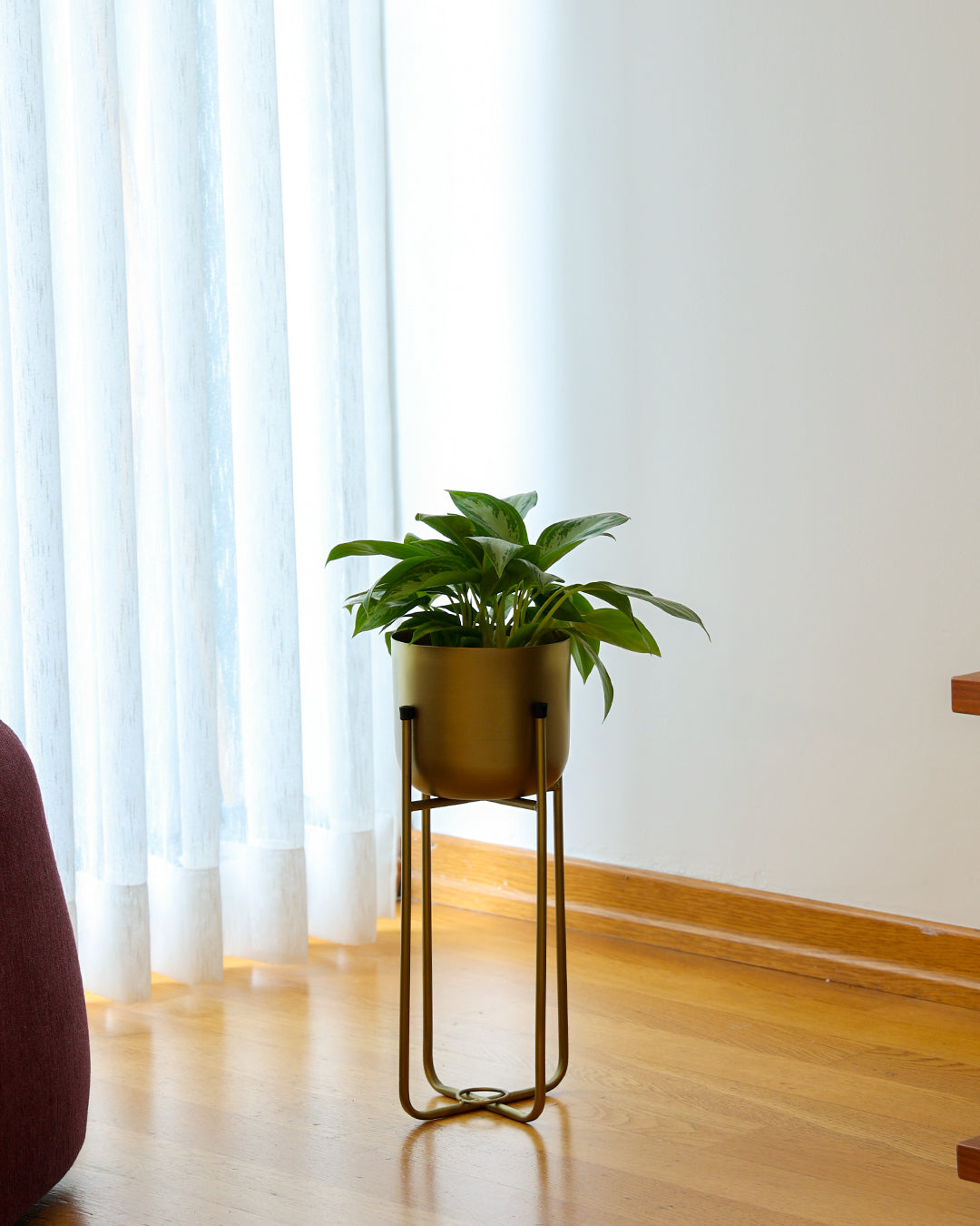 Superbia Ayaklı Metal Saksı Küçük Boy Sarı