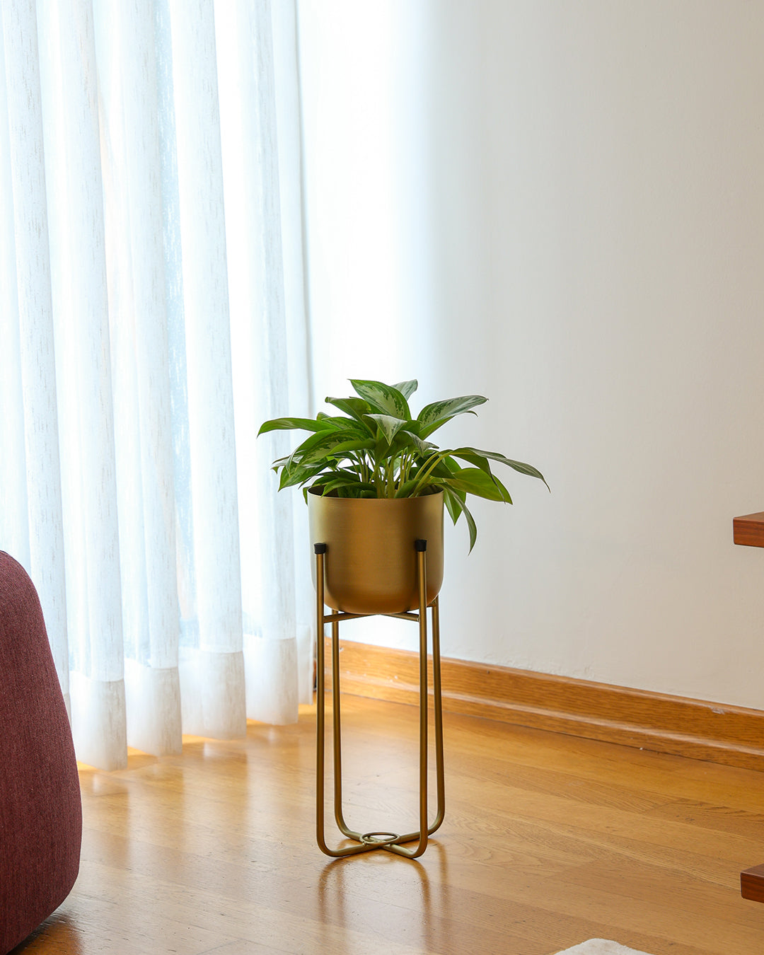 Superbia Ayaklı Metal Saksı Küçük Boy Sarı