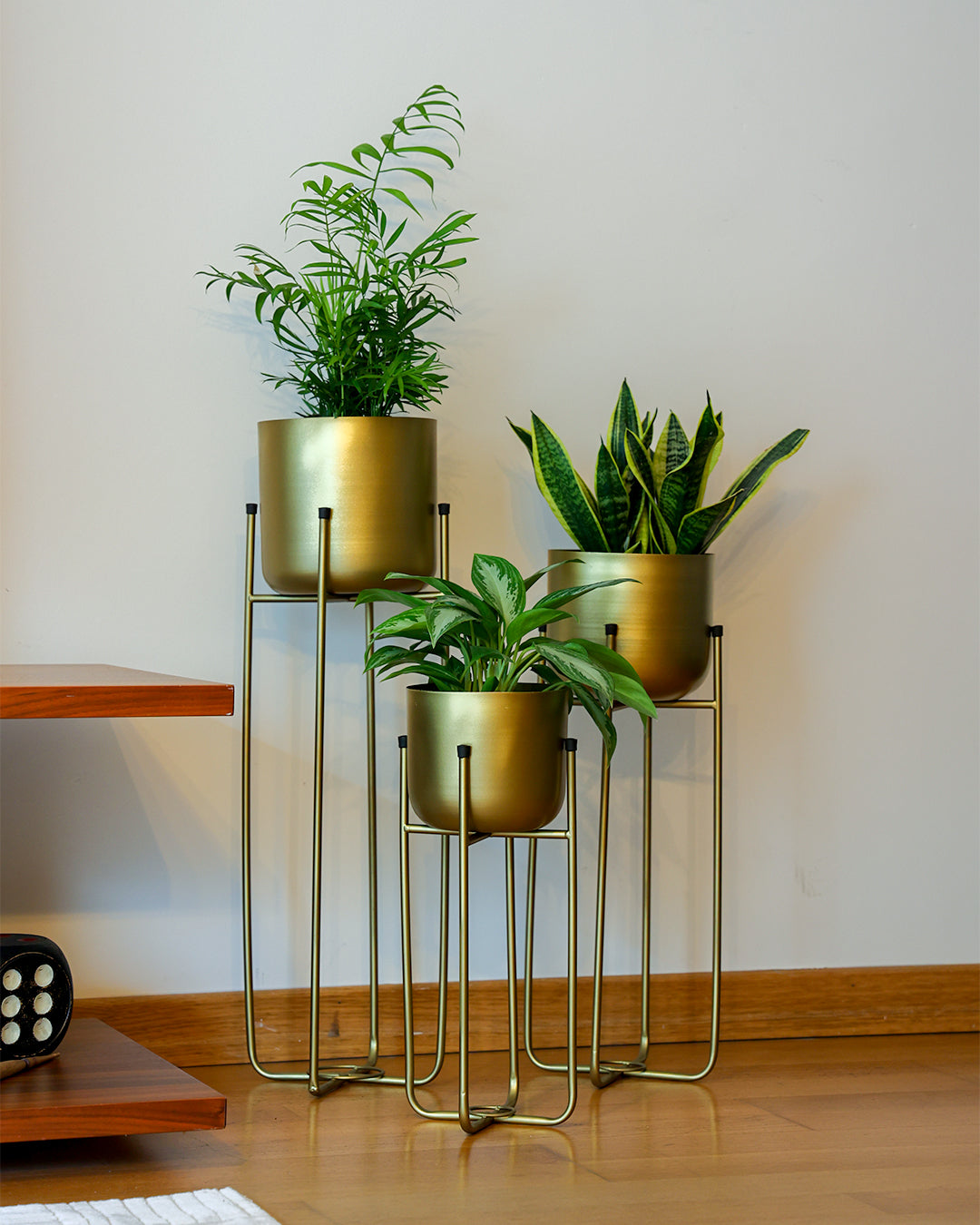 Superbia Ayaklı Metal Saksı Orta Boy Sarı