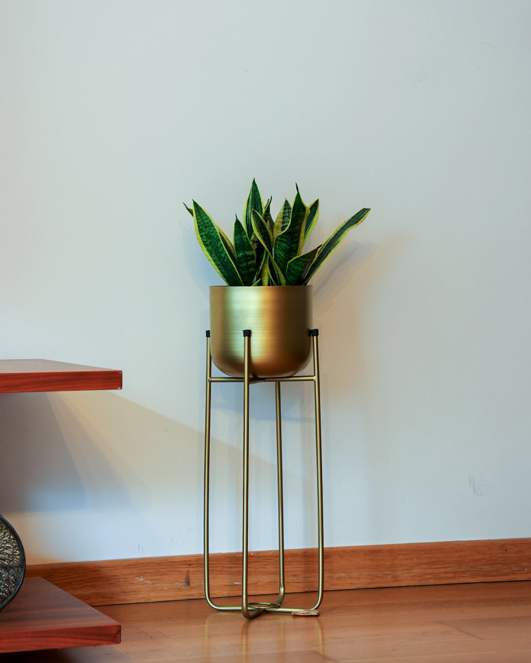 Superbia Ayaklı Metal Saksı Orta Boy Sarı