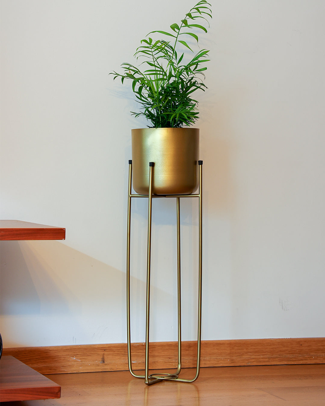 Superbia Metal Ayaklı Saksı Büyük Boy Sarı