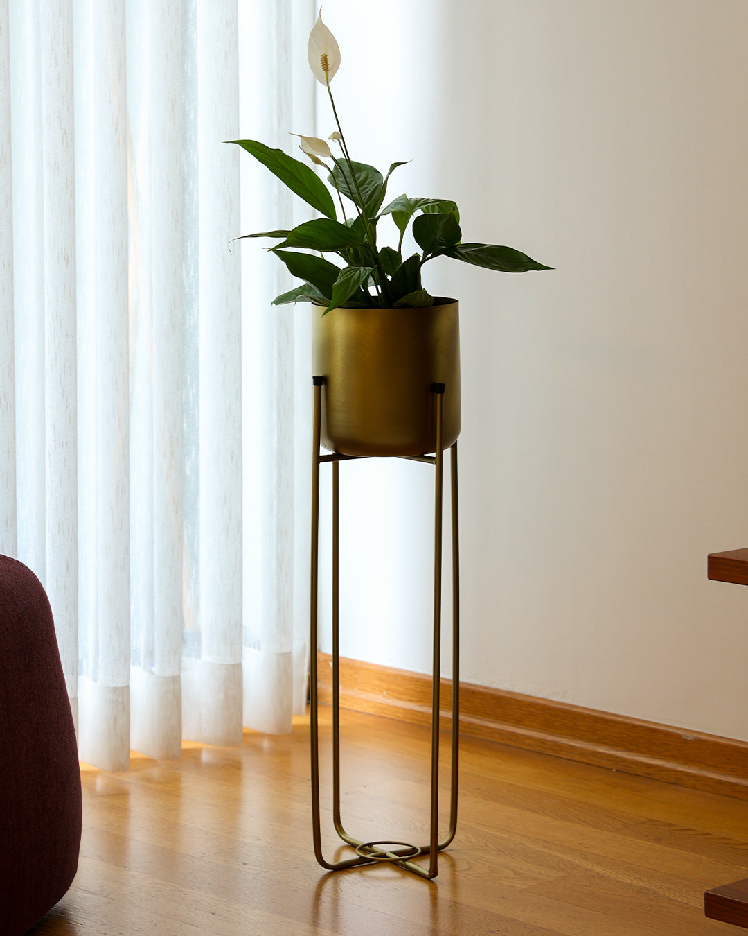 Superbia Metal Ayaklı Saksı Büyük Boy Sarı