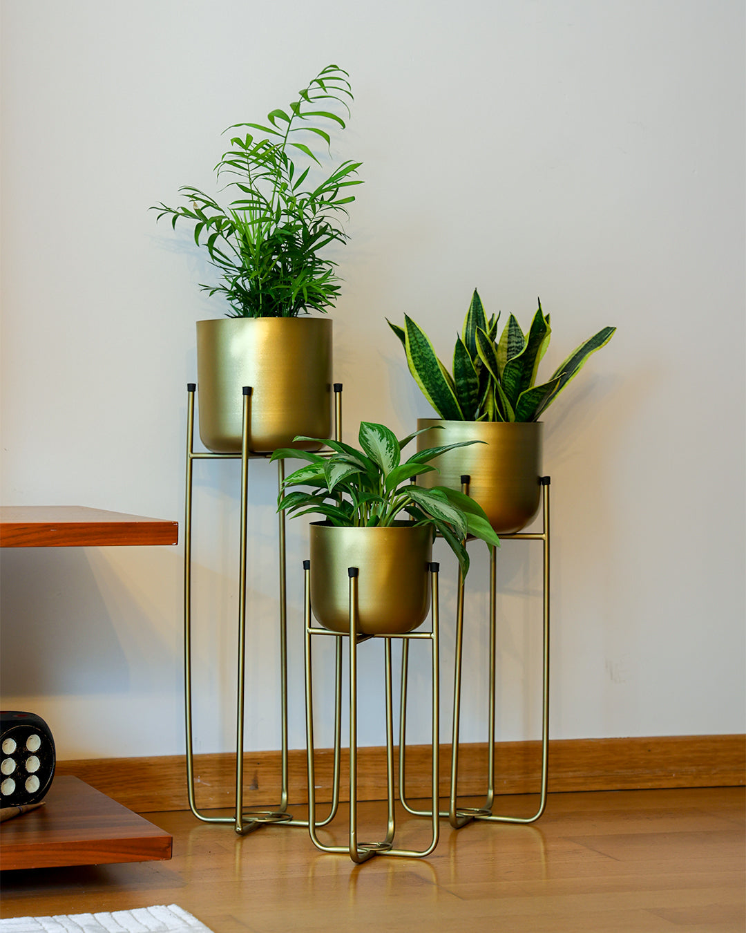 Superbia Metal Ayaklı Saksı Büyük Boy Sarı