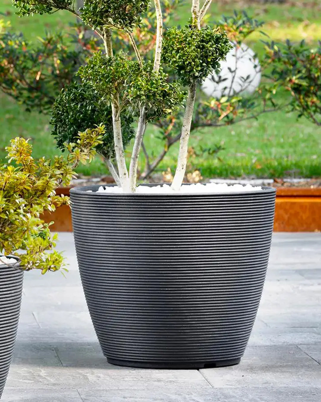 Urban Ring 48 Plastik Saksı Beyaz