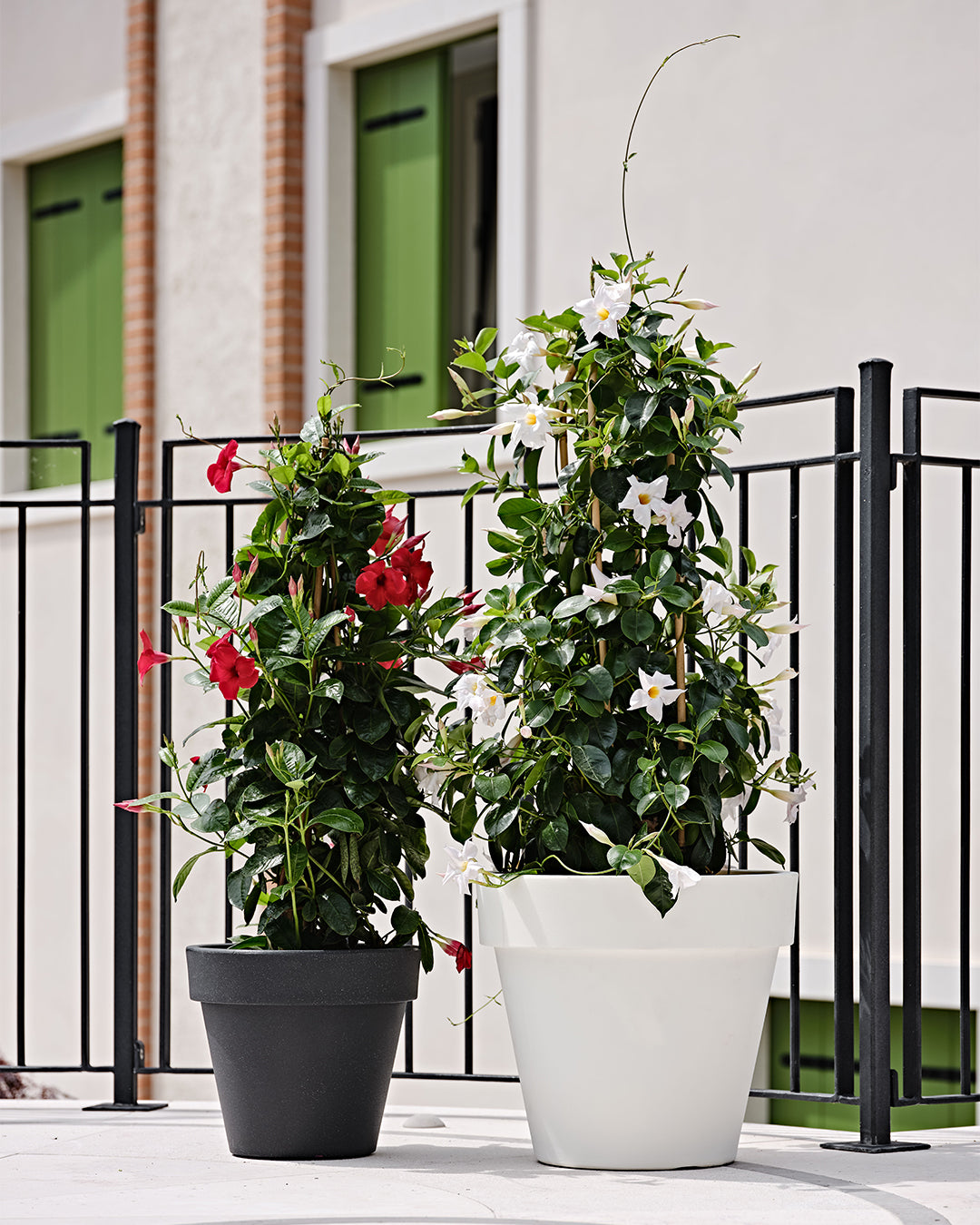 Vaso Standart One 120 Antrasit Plastik Saksı