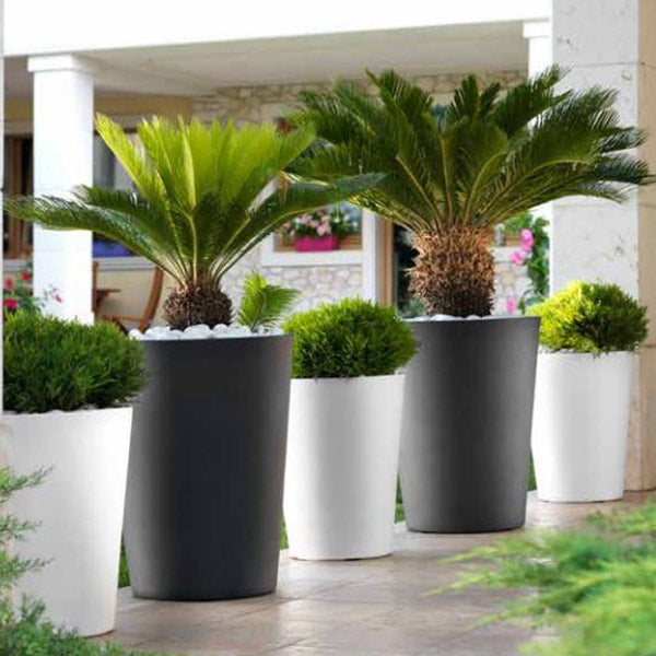 Zamora 65 Plastik Saksı Antrasit