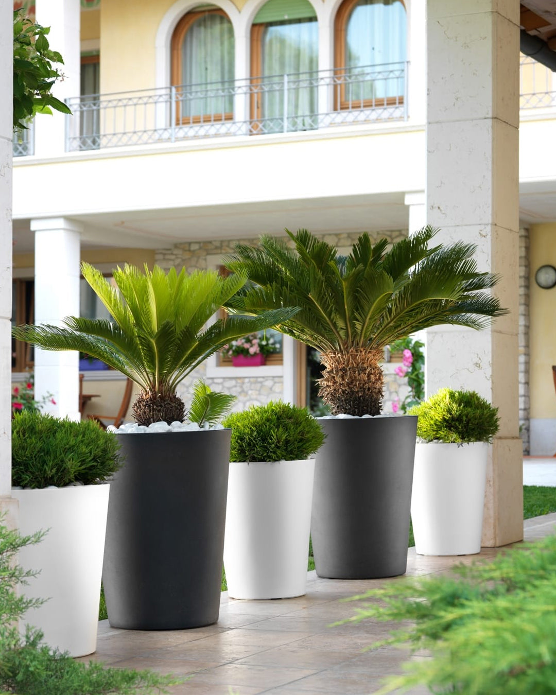 Zamora 65 Plastik Saksı Antrasit