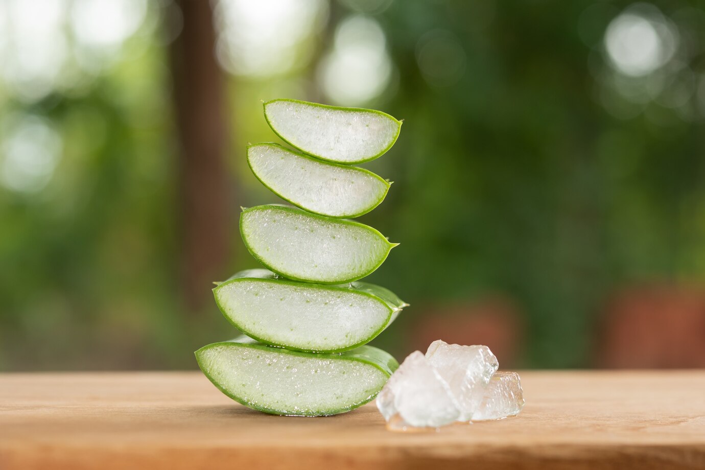 Aloe Vera: Şifa Kaynağı Bitkiyi Evinize Taşıyın