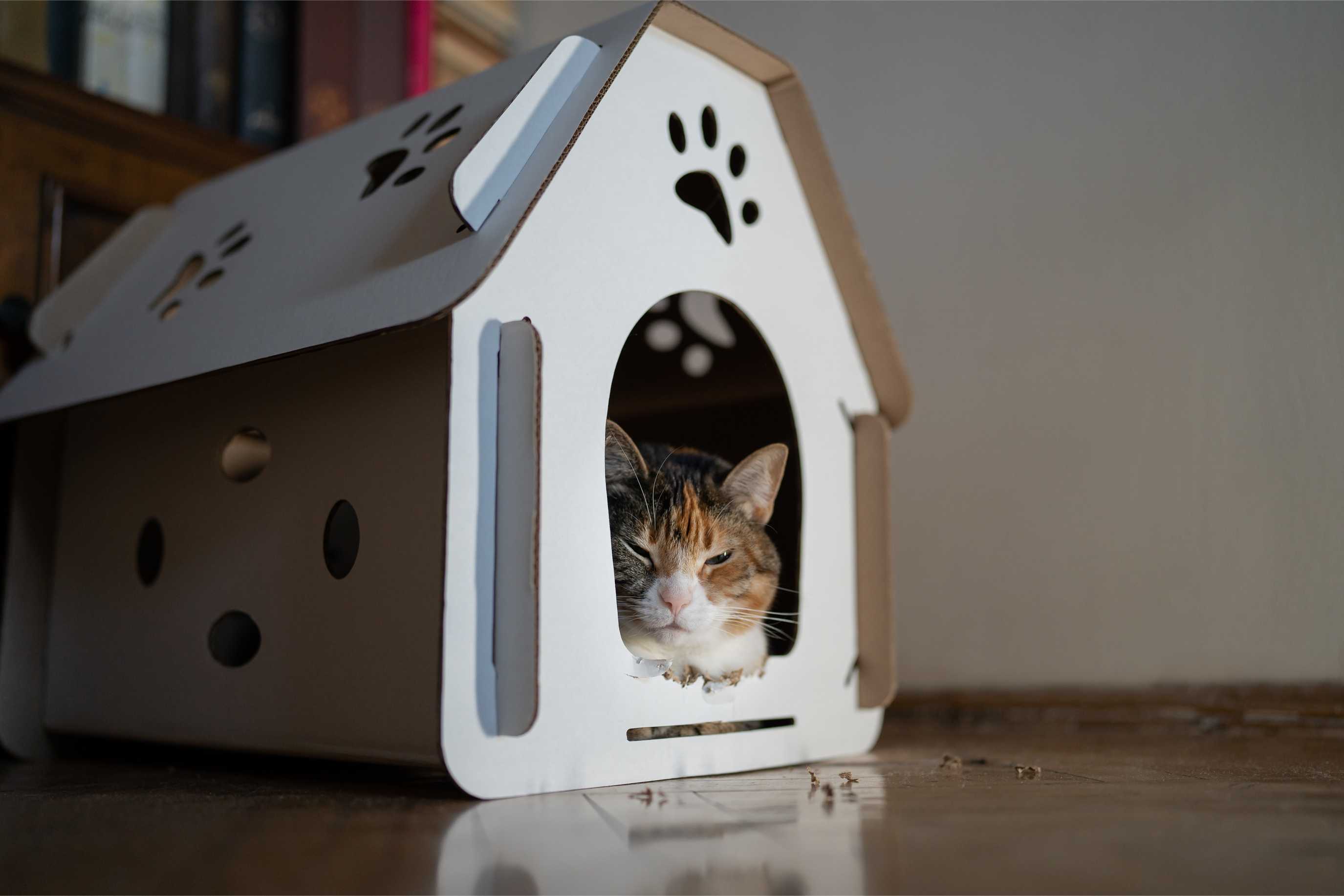 Kedi Evi: Evcil Dostlarınız İçin Rahat ve Sıcak Bir Alan