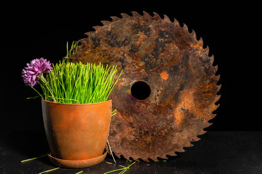 Dayanıklı ve Şık Corten Saksılarla Bahçenizi Güzelleştirin