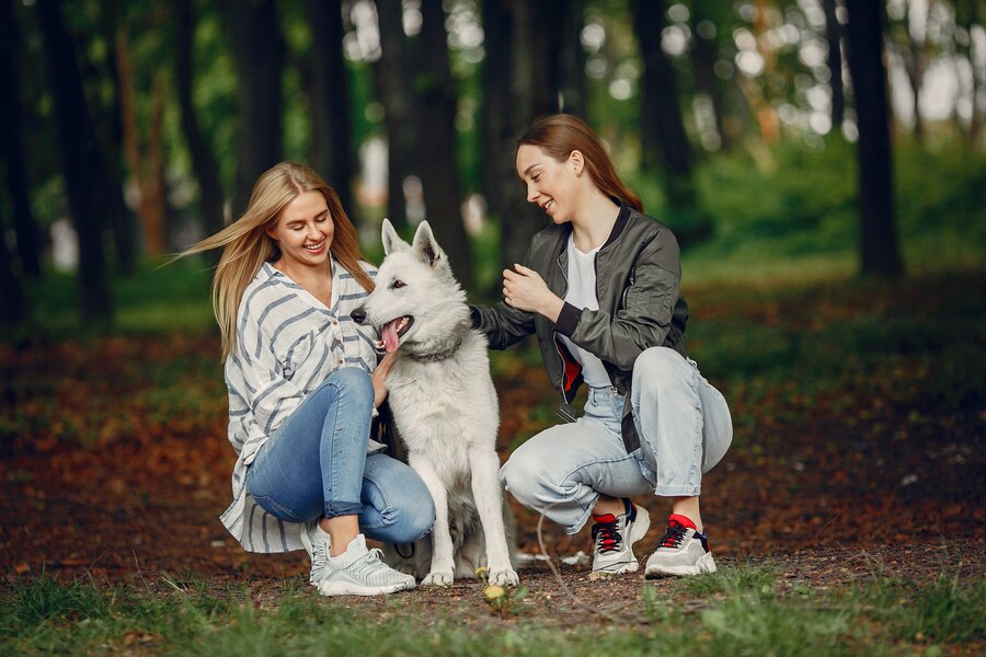 En İyi Arkadaşınız Olmaya Doğmuş 15 Köpek Irkı