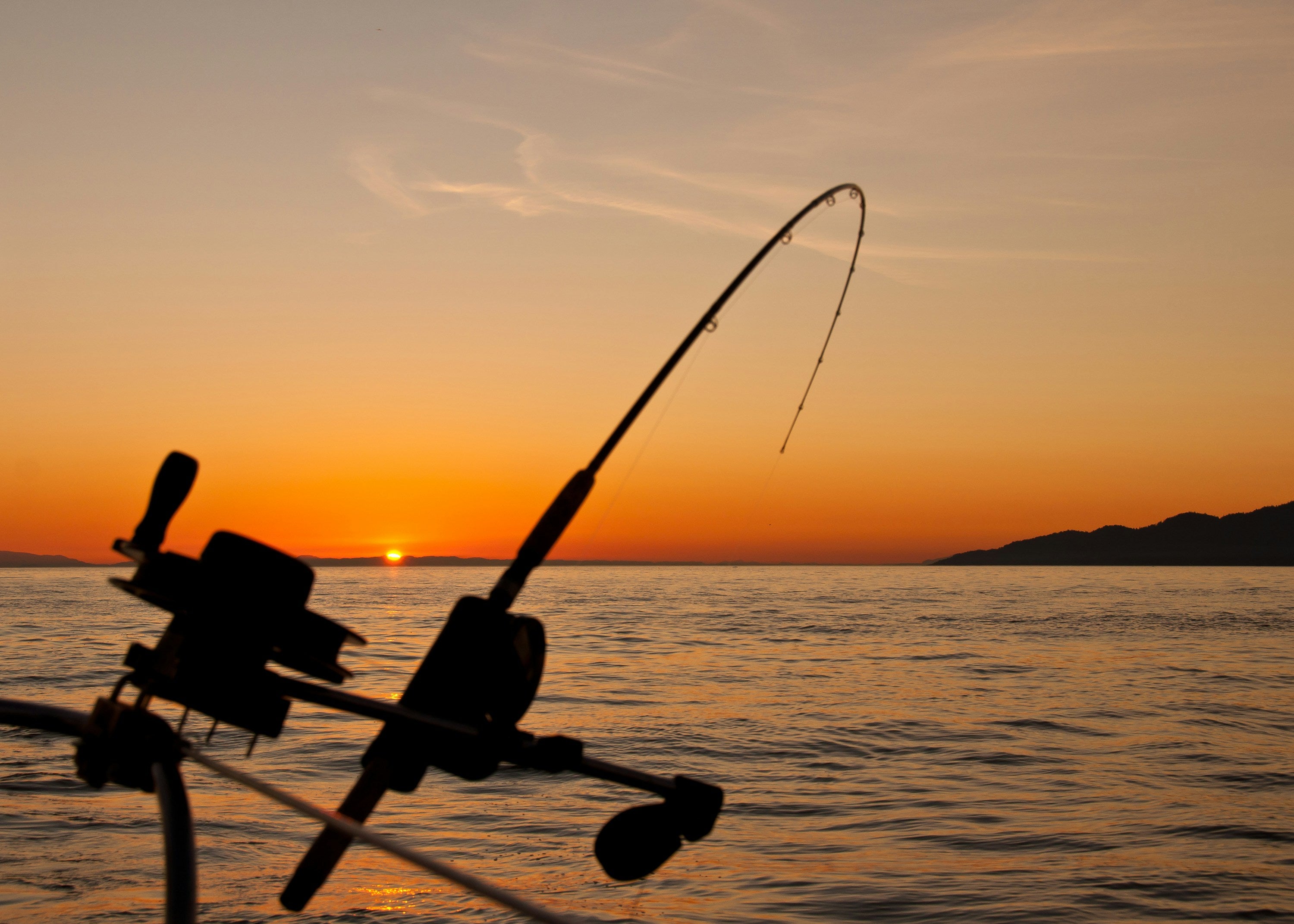 Paddle Board ile Balık Tutma: Hangi Ekipmanlara İhtiyacınız Var?