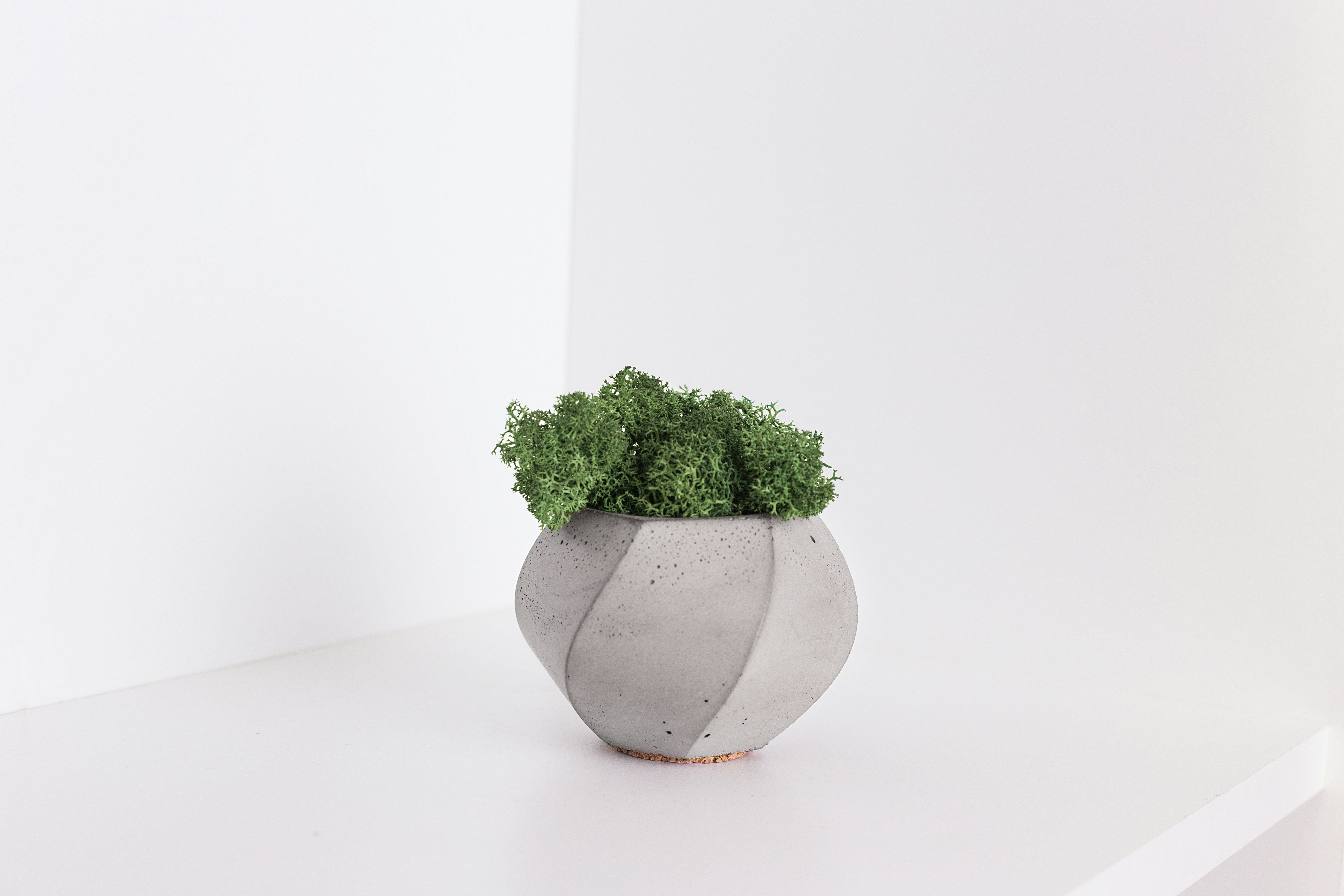 Minimalist Bahçeler için Beton Saksı Kullanım Rehberi